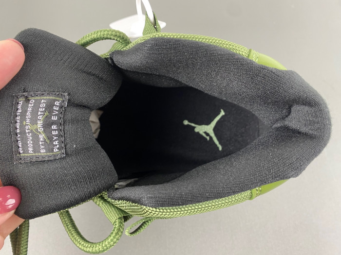 Air Jordan 11  CT8012-300